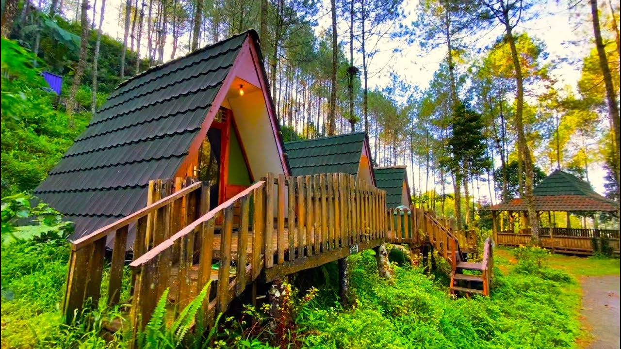 Telomoyo Nature Park: Petualangan Menakjubkan di Alam Jawa Tengah